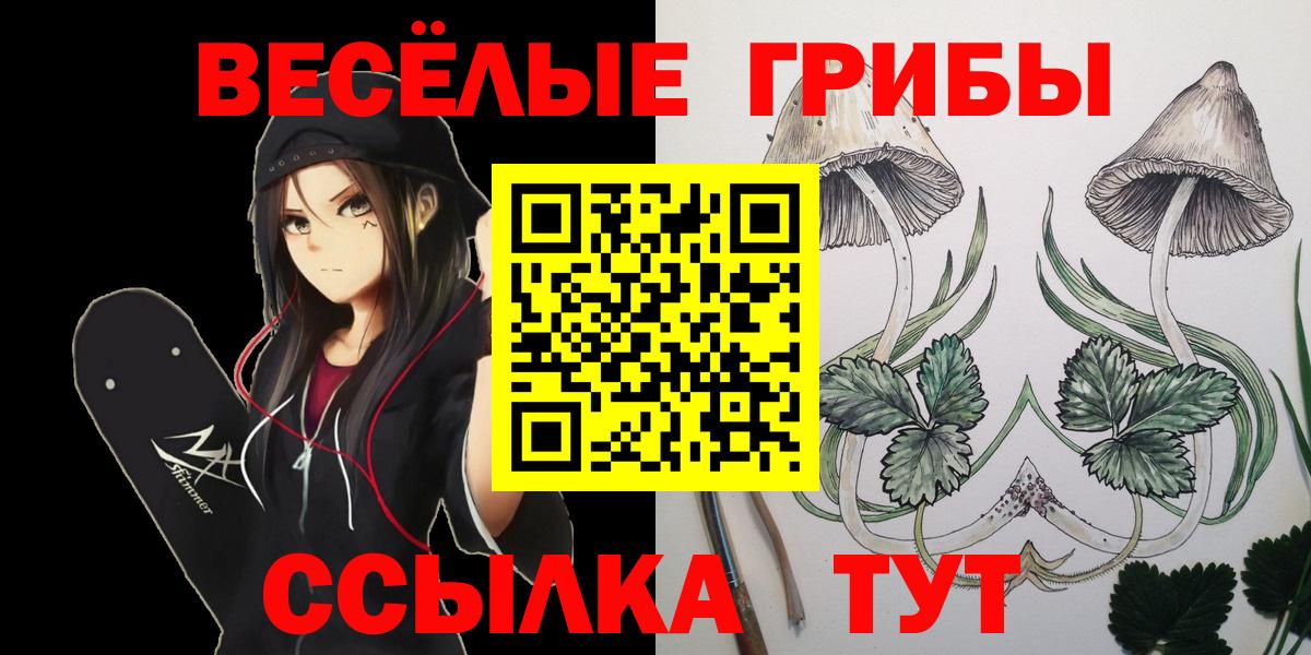 Всеволожск  цены   Вход с VPN  Галлюциногенные грибы прущие грибы 